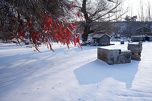 雪景,庙宇,雪,除雪