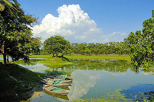 风景,孟加拉,五月,2007年