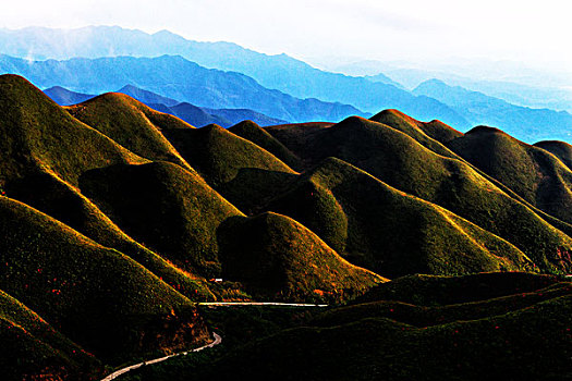 映山红,杜鹃,群山,云,雾,花,太阳,美景,风光,春天,高山杜鹃,花朵,云层,路,路面,山脊