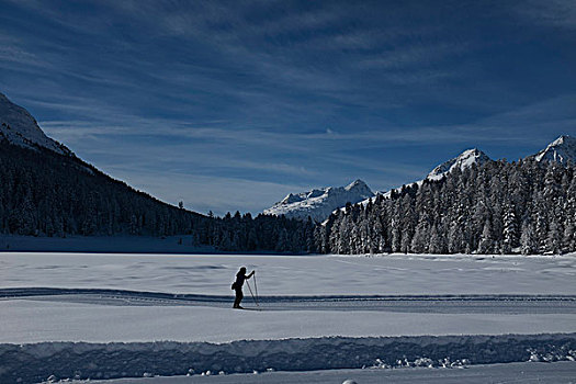 人,滑雪,雪景,瑞士