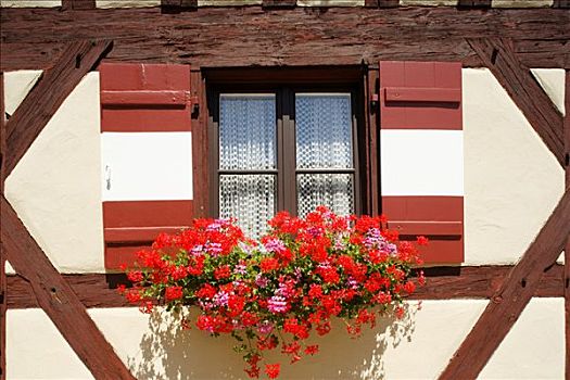 窗户,百叶窗,天竺葵,纽伦堡,城堡,半木结构,中间,弗兰克尼亚,巴伐利亚,德国,欧洲