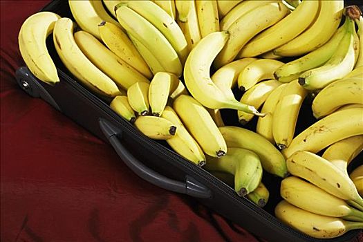 香蕉,手提箱
