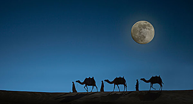 骆驼,驼队,夜空,满月,迪拜,阿联酋