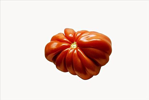 西红柿,品种