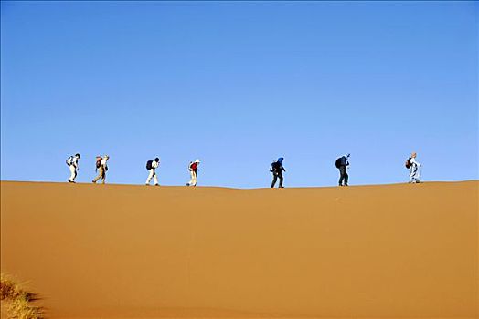沙漠,跋涉,游客,远足,一个,沙丘,靠近,摩洛哥