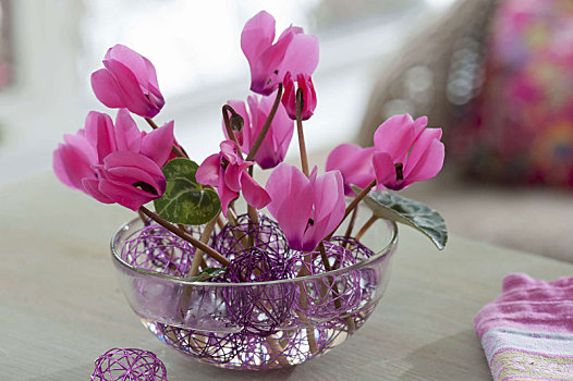 紫色,球,线,玻璃碗,花,叶子