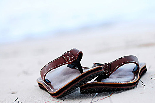 人字拖鞋,沙,海滩,暑假,概念