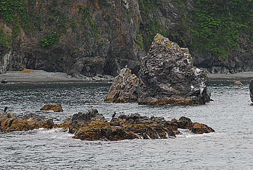 岩手县,城市