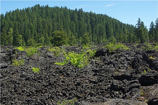 火山,地面,植被,俄勒冈