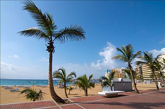 海滩,大卡纳利岛,加纳利群岛,西班牙