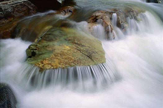 宽,河,芬地湾国家公园,新布兰斯维克,加拿大