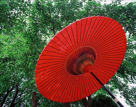 日本,红色,油纸伞