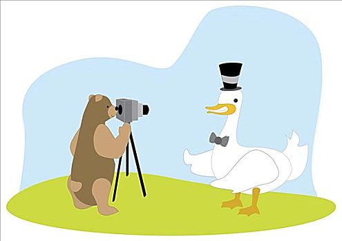 熊,拍照,鸭子