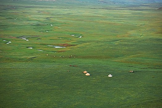 俯视,蒙古包,游牧,文化,保存,生态,内蒙古,中国