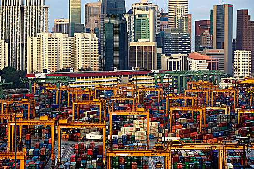 新加坡,天际线,运输,港口,前景