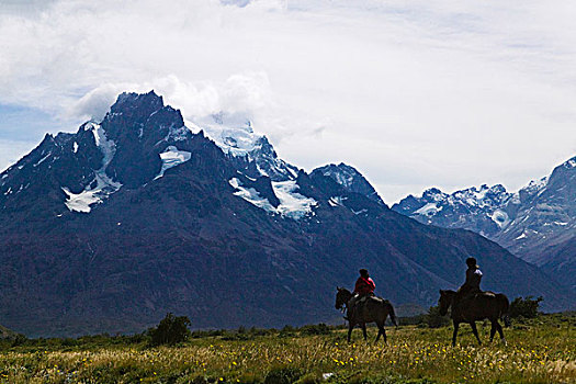 旅游,骑,马,草地,雪,山,远景,托雷德裴恩国家公园,巴塔哥尼亚,智利