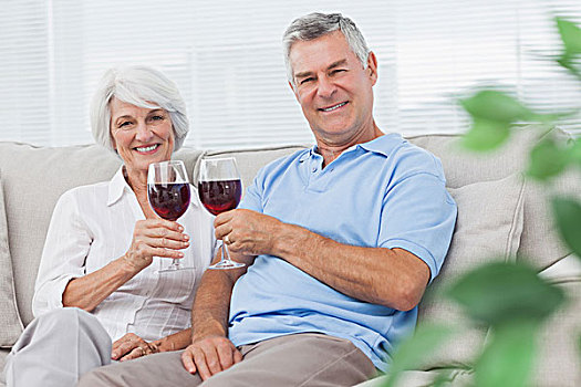 夫妻,碰杯,葡萄酒杯,在家,沙发