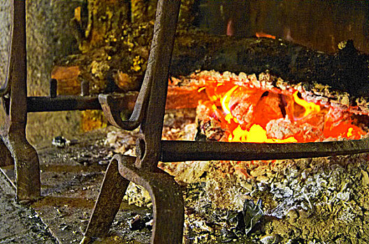 壁炉,放,原木,火,完美,煤,烧烤,燃烧,块菌,农场,法国