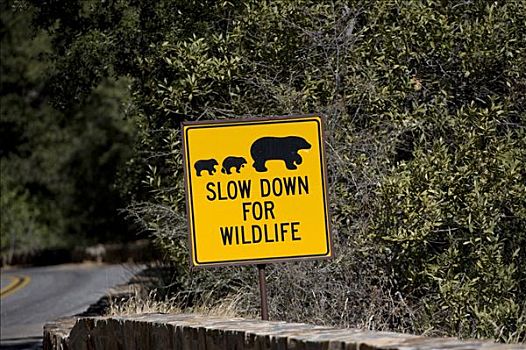 慢,野生动物,警告标识,红杉国家公园,加利福尼亚,美国