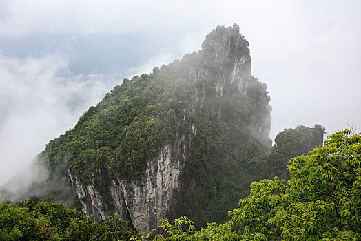 恩施,黄鹤峰,风景,景点,旅游,高山,山区,神秘,树木,植被,石头,鄂西,奇石,峡谷,壮观,云海,仙境