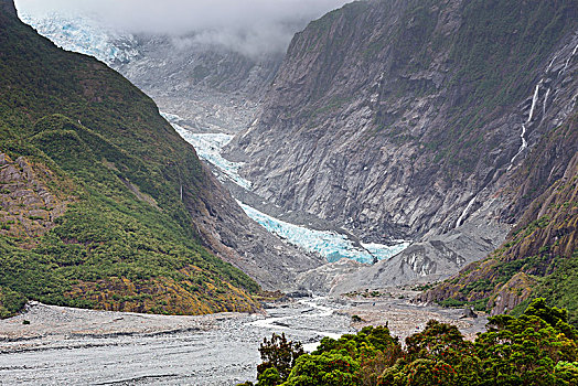 冰河,舌头,西区国家公园,西海岸,区域,新西兰,大洋洲