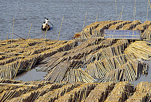 河边,存储,地点,竹子,孟加拉