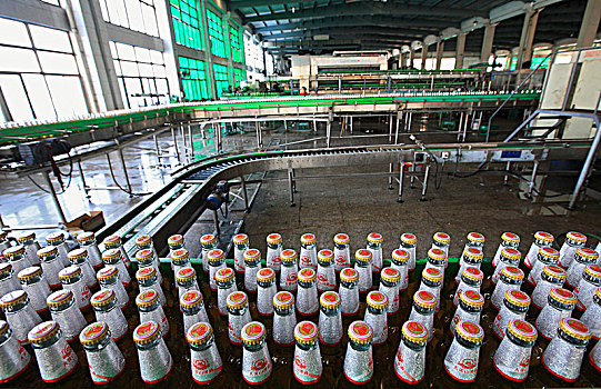 大凉山,啤酒,生产线,车间,流水线,工人,酒