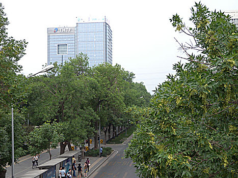 北京,建筑,大楼,现代化,马路,海淀