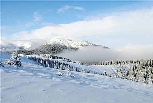 冬季风景,施蒂里亚,奥地利