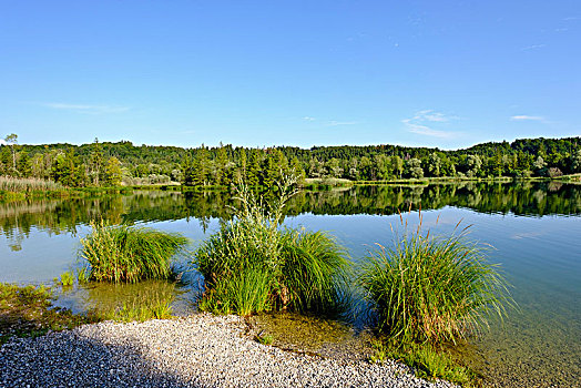 水库,自然保护区,上巴伐利亚,巴伐利亚,德国