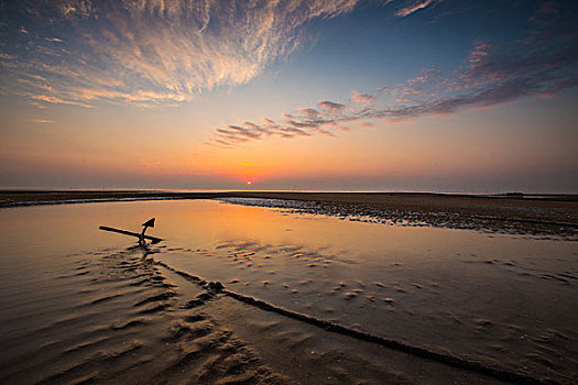 海滩风光