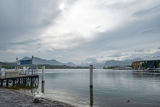 瑞士琉森湖光山色－琉森湖,雪山