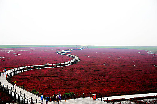 红海滩