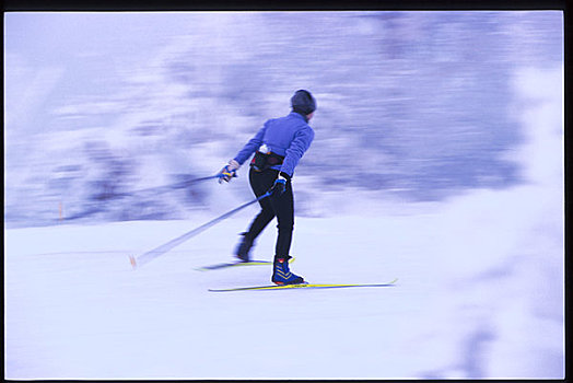 女人,越野滑雪,阿拉斯加,冬天