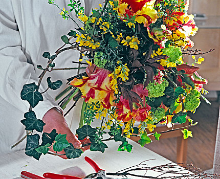 郁金香,荚莲属植物,花束