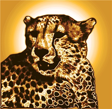隔绝,印度豹,脸,绘画,金色,褐色,倾斜,彩色