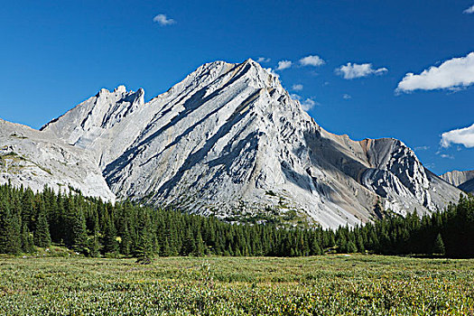 山,草地,树,背景,蓝天,云,卡纳纳斯基斯,省立公园,艾伯塔省,加拿大