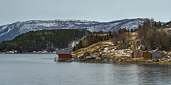 木质,小屋,海岸,峡湾,挪威