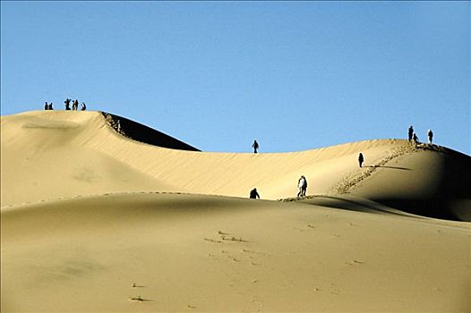 远足,人,戈壁沙漠,国家公园,蒙古