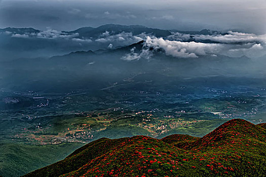 映山红,杜鹃,群山,云,雾,花,太阳,美景,风光,春天,高山杜鹃,花朵,云层,路,路面,山脊