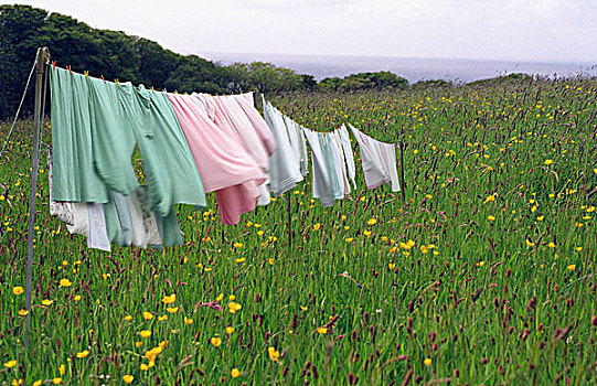 清洁,洗衣服,晾衣服,爱尔兰,草地,海洋,远景