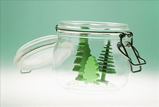 微型,树,玻璃,罐