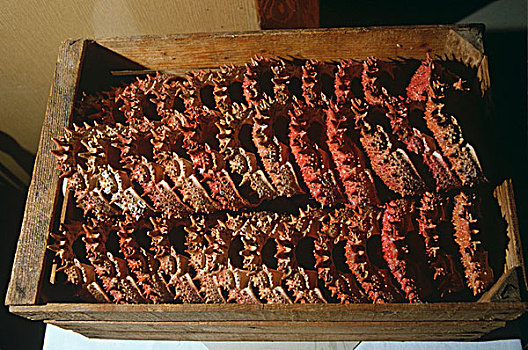 蟹肉,板条箱