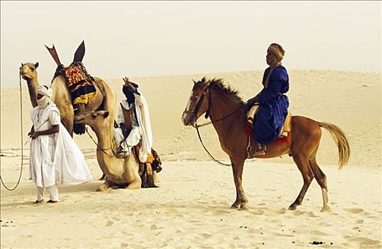 节日,沙漠,2005年,乘,小,坚固,马