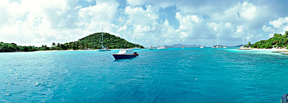 西印度群岛,格林纳丁斯群岛,多巴哥岛