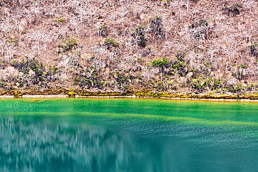 绿色,泻湖,风景,加拉帕戈斯
