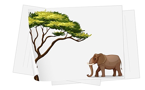 大象,丛林,纸