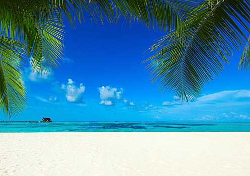 热带沙滩,马尔代夫