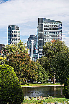 公园,普通,高层建筑,波士顿,美国