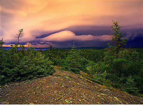 国家公园,黄昏,安大略省,加拿大